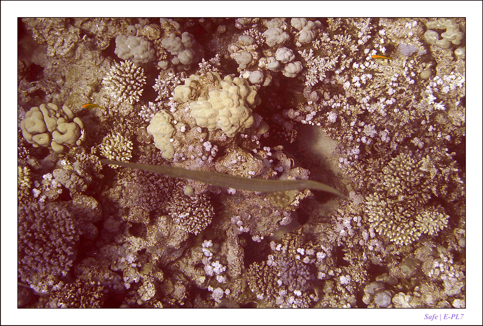 Hurghada - Juillet 2021 - 071